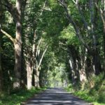 Parco della Mistica