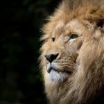 Zoo di Fasano