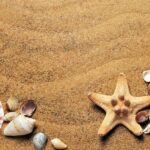 Porto Istana: cosa vedere e cosa fare, offerte vacanza