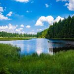 lago